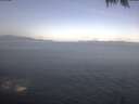 ./images/koeye/fitz-hugh/20250423/fitz-hugh20250423_085502.jpg
