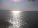 ./images/koeye/fitz-hugh/20250423/fitz-hugh20250423_165001.jpg
