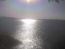 ./images/koeye/fitz-hugh/20250423/fitz-hugh20250423_165501.jpg