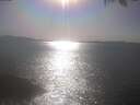 ./images/koeye/fitz-hugh/20250423/fitz-hugh20250423_170002.jpg