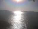 ./images/koeye/fitz-hugh/20250423/fitz-hugh20250423_170501.jpg