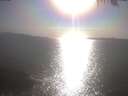 ./images/koeye/fitz-hugh/20250423/fitz-hugh20250423_173501.jpg