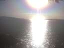 ./images/koeye/fitz-hugh/20250423/fitz-hugh20250423_174001.jpg