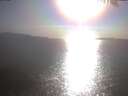 ./images/koeye/fitz-hugh/20250423/fitz-hugh20250423_175002.jpg