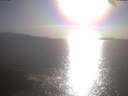 ./images/koeye/fitz-hugh/20250423/fitz-hugh20250423_175502.jpg