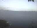 ./images/koeye/fitz-hugh/20250424/fitz-hugh20250424_054002.jpg