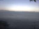 ./images/koeye/fitz-hugh/20250424/fitz-hugh20250424_074501.jpg