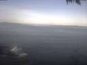 ./images/koeye/fitz-hugh/20250424/fitz-hugh20250424_083002.jpg