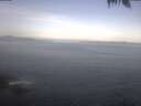 ./images/koeye/fitz-hugh/20250424/fitz-hugh20250424_083502.jpg