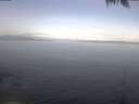 ./images/koeye/fitz-hugh/20250424/fitz-hugh20250424_093502.jpg