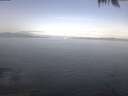 ./images/koeye/fitz-hugh/20250424/fitz-hugh20250424_094002.jpg