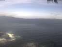./images/koeye/fitz-hugh/20250424/fitz-hugh20250424_120502.jpg