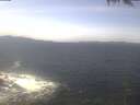 ./images/koeye/fitz-hugh/20250424/fitz-hugh20250424_125502.jpg