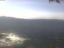 ./images/koeye/fitz-hugh/20250424/fitz-hugh20250424_130502.jpg