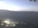 ./images/koeye/fitz-hugh/20250424/fitz-hugh20250424_133501.jpg