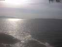 ./images/koeye/fitz-hugh/20250424/fitz-hugh20250424_160502.jpg