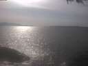 ./images/koeye/fitz-hugh/20250424/fitz-hugh20250424_161502.jpg