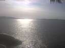 ./images/koeye/fitz-hugh/20250424/fitz-hugh20250424_164501.jpg