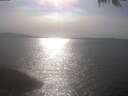 ./images/koeye/fitz-hugh/20250424/fitz-hugh20250424_165501.jpg