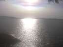 ./images/koeye/fitz-hugh/20250424/fitz-hugh20250424_170501.jpg