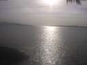 ./images/koeye/fitz-hugh/20250424/fitz-hugh20250424_173501.jpg