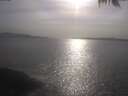 ./images/koeye/fitz-hugh/20250424/fitz-hugh20250424_174001.jpg