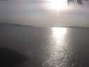 ./images/koeye/fitz-hugh/20250424/fitz-hugh20250424_175501.jpg