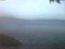 ./images/koeye/fitz-hugh/20250425/fitz-hugh20250425_053002.jpg