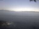 ./images/koeye/fitz-hugh/20250425/fitz-hugh20250425_085002.jpg