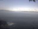 ./images/koeye/fitz-hugh/20250425/fitz-hugh20250425_090502.jpg