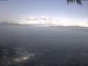 ./images/koeye/fitz-hugh/20250425/fitz-hugh20250425_092002.jpg