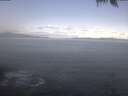./images/koeye/fitz-hugh/20250425/fitz-hugh20250425_093002.jpg