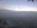 ./images/koeye/fitz-hugh/20250425/fitz-hugh20250425_093502.jpg