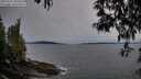 ./images/koeye/fitz-hugh/20250427/fitz-hugh20250427_204006M.jpg