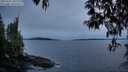 ./images/koeye/fitz-hugh/20250427/fitz-hugh20250427_205507M.jpg