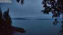 ./images/koeye/fitz-hugh/20250427/fitz-hugh20250427_212007M.jpg