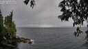 ./images/koeye/fitz-hugh/20250428/fitz-hugh20250428_123012M.jpg