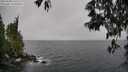 ./images/koeye/fitz-hugh/20250428/fitz-hugh20250428_125511M.jpg