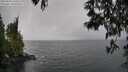 ./images/koeye/fitz-hugh/20250428/fitz-hugh20250428_134510M.jpg