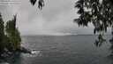 ./images/koeye/fitz-hugh/20250428/fitz-hugh20250428_145509M.jpg