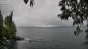 ./images/koeye/fitz-hugh/20250428/fitz-hugh20250428_150011M.jpg