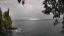 ./images/koeye/fitz-hugh/20250428/fitz-hugh20250428_153510M.jpg