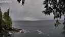 ./images/koeye/fitz-hugh/20250428/fitz-hugh20250428_162507M.jpg