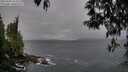 ./images/koeye/fitz-hugh/20250428/fitz-hugh20250428_163510M.jpg