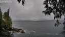 ./images/koeye/fitz-hugh/20250428/fitz-hugh20250428_164011M.jpg