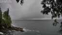 ./images/koeye/fitz-hugh/20250428/fitz-hugh20250428_170510M.jpg