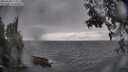 ./images/koeye/fitz-hugh/20250428/fitz-hugh20250428_173509M.jpg