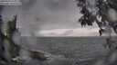 ./images/koeye/fitz-hugh/20250428/fitz-hugh20250428_174011M.jpg