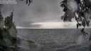 ./images/koeye/fitz-hugh/20250428/fitz-hugh20250428_175010M.jpg