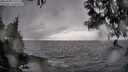 ./images/koeye/fitz-hugh/20250428/fitz-hugh20250428_175509M.jpg